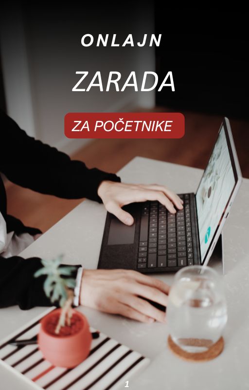 E BOOK ONLINE ZARADA ZA POCETNIKE